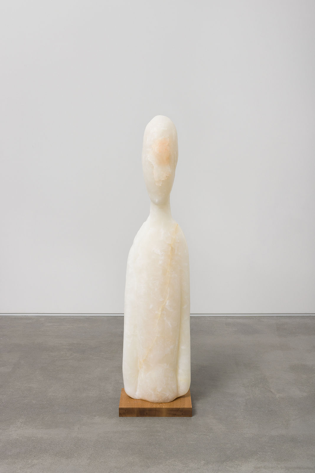 Yves Scherer, Madame Cezanne, 2024