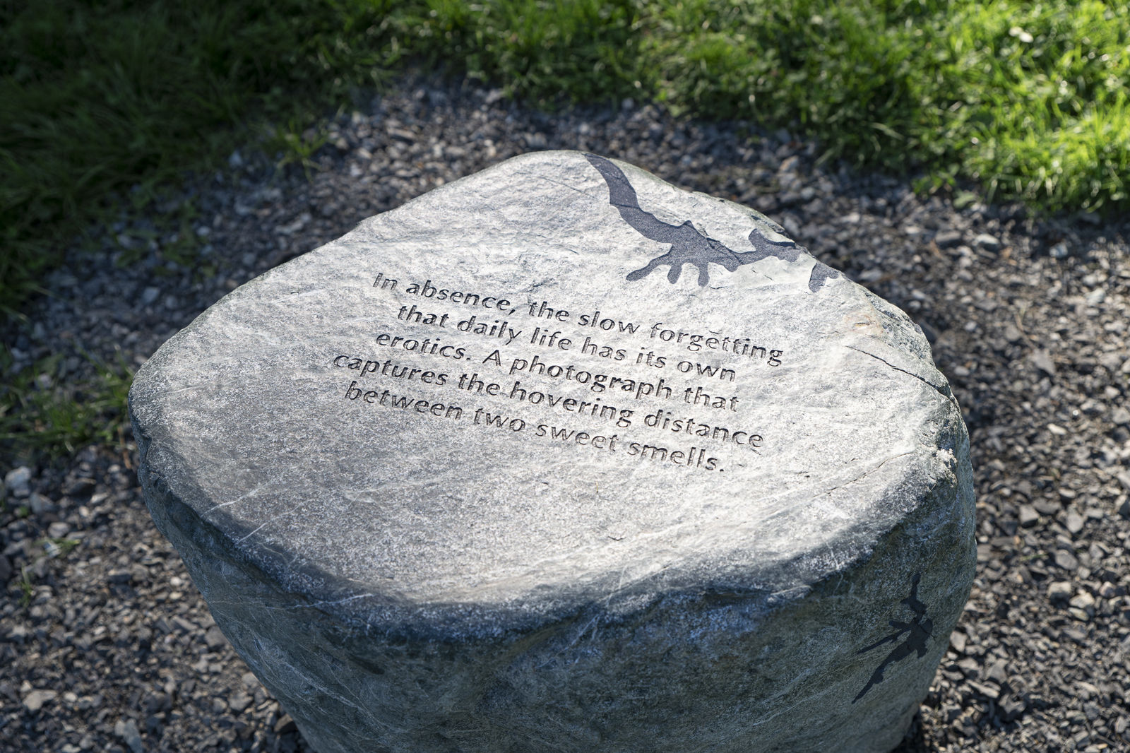 Installation view: Chlo&euml; Bass: Soft Services, Henry Art Gallery, University of Washington, Seattle, WA, 2022. Photo: Jueqian Fang