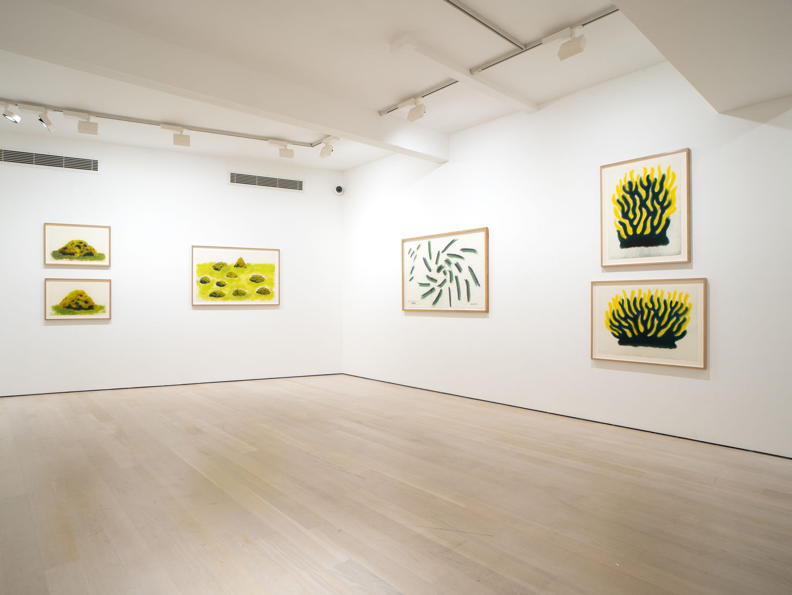 David Nash, 45 Years of Drawing, Annely Juda Fine Art, London, 2024