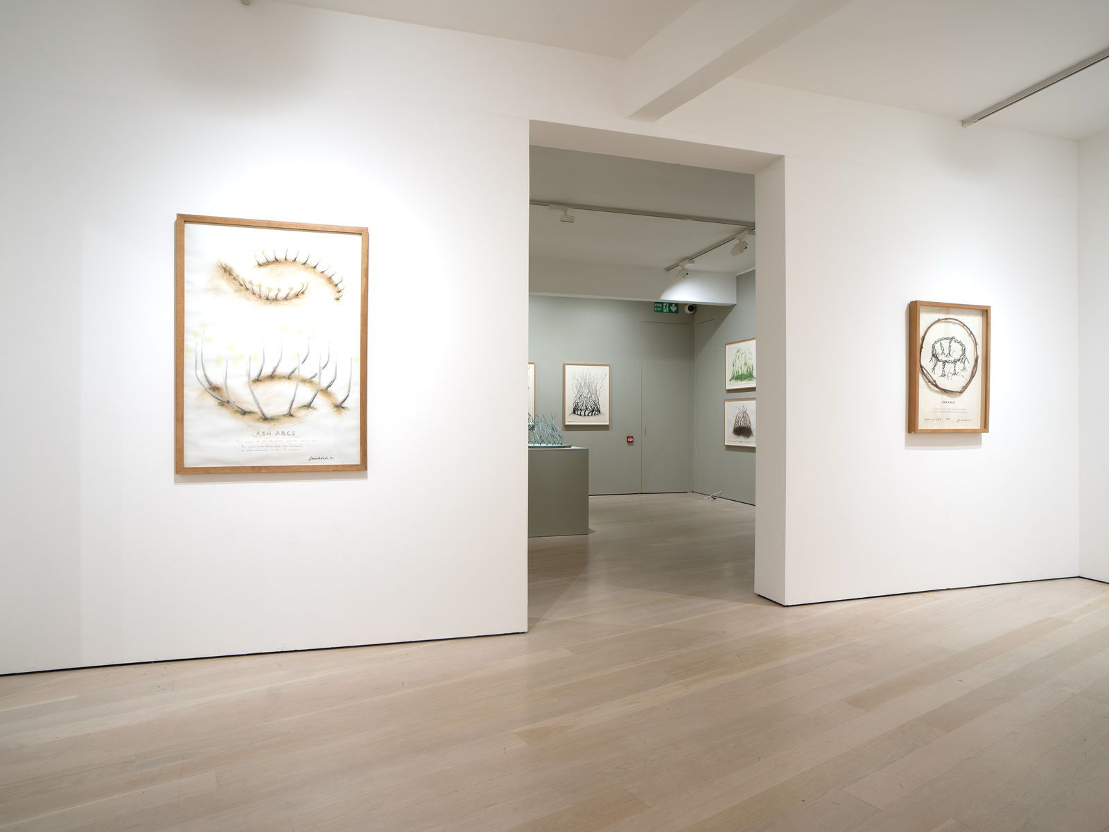 David Nash, 45 Years of Drawing, Annely Juda Fine Art, London, 2024