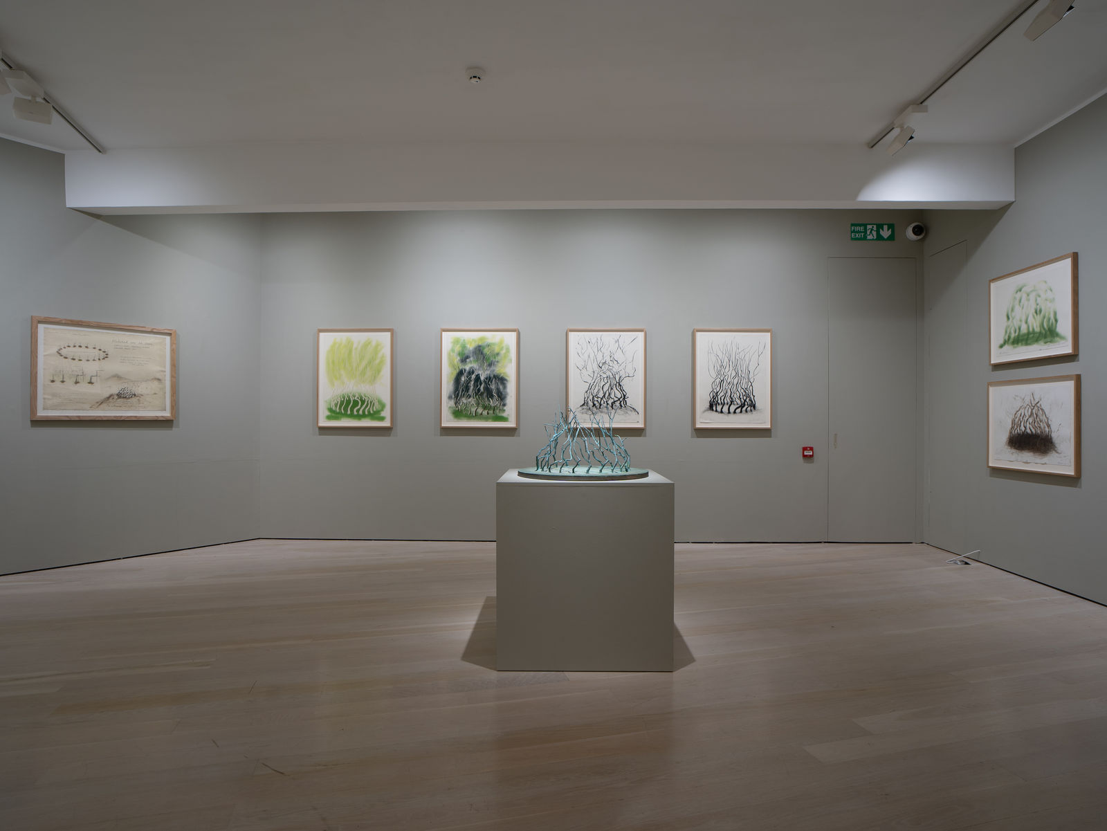 David Nash, 45 Years of Drawing, Annely Juda Fine Art, London, 2024