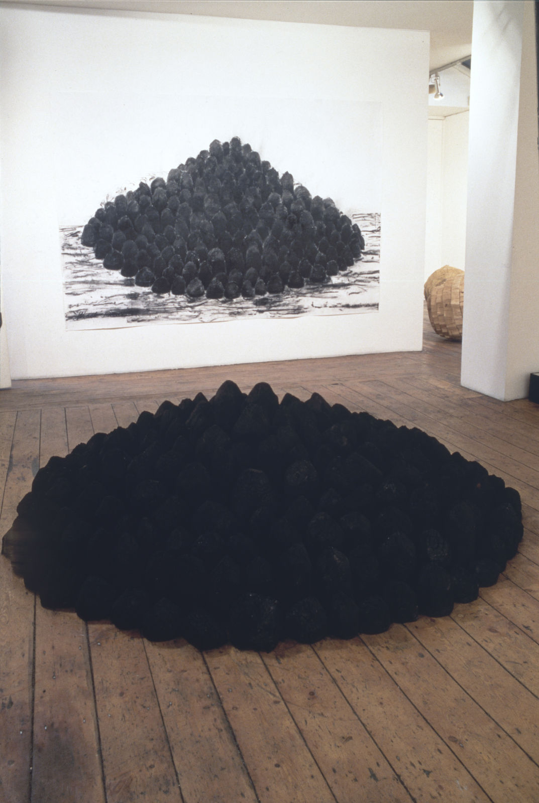 Tree to Vessel exhibition