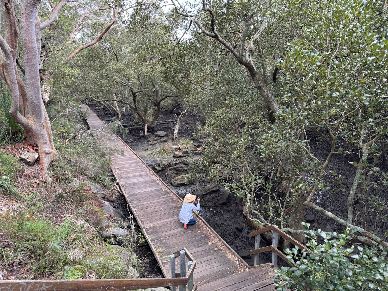 Nicola Moss on site at Lime Kiln Bay Wetlands, Georges River. Photo by Phil Moss