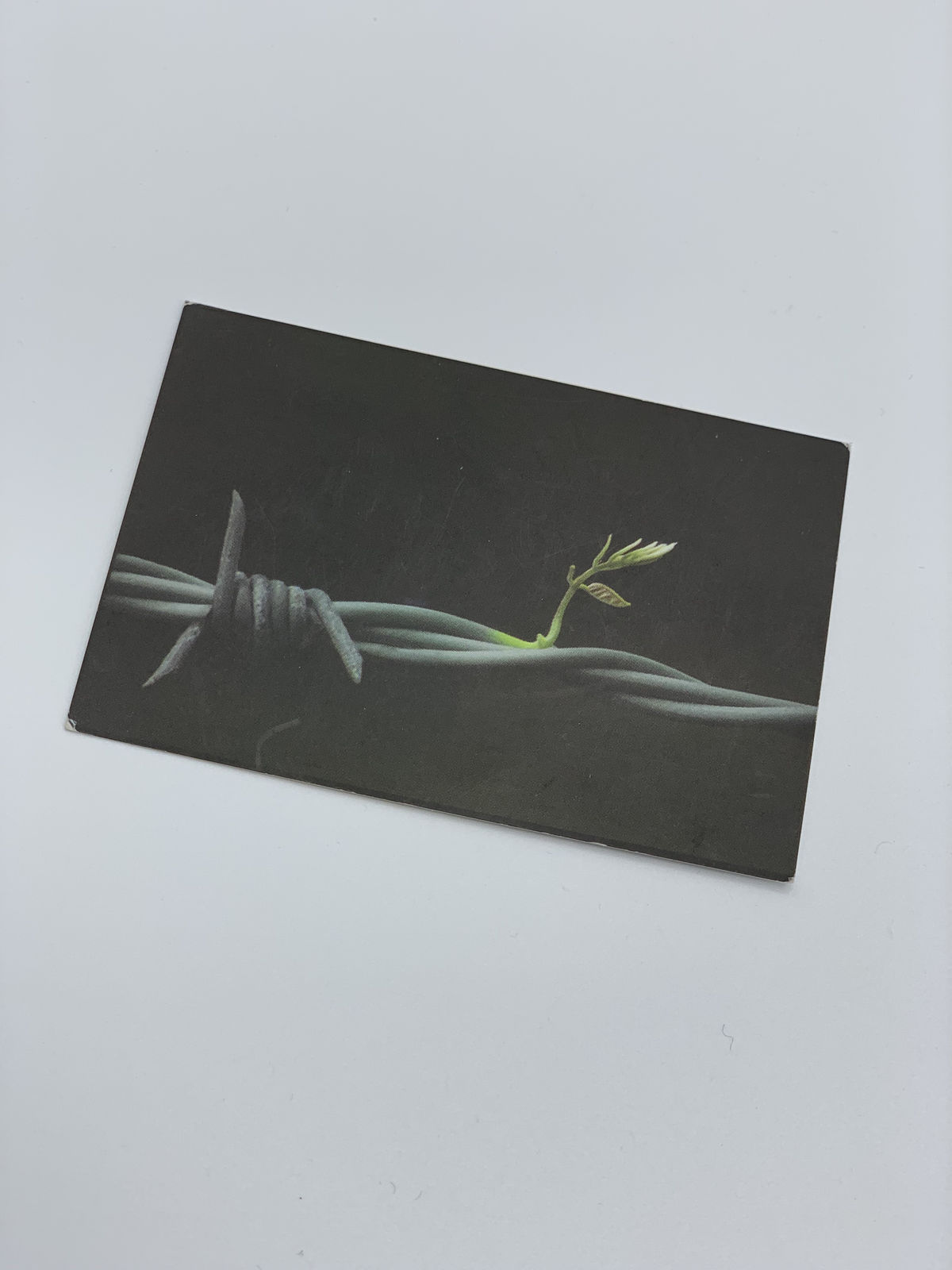 Banksy, The Walled Off Hotel (Box Set) + extras, 2017