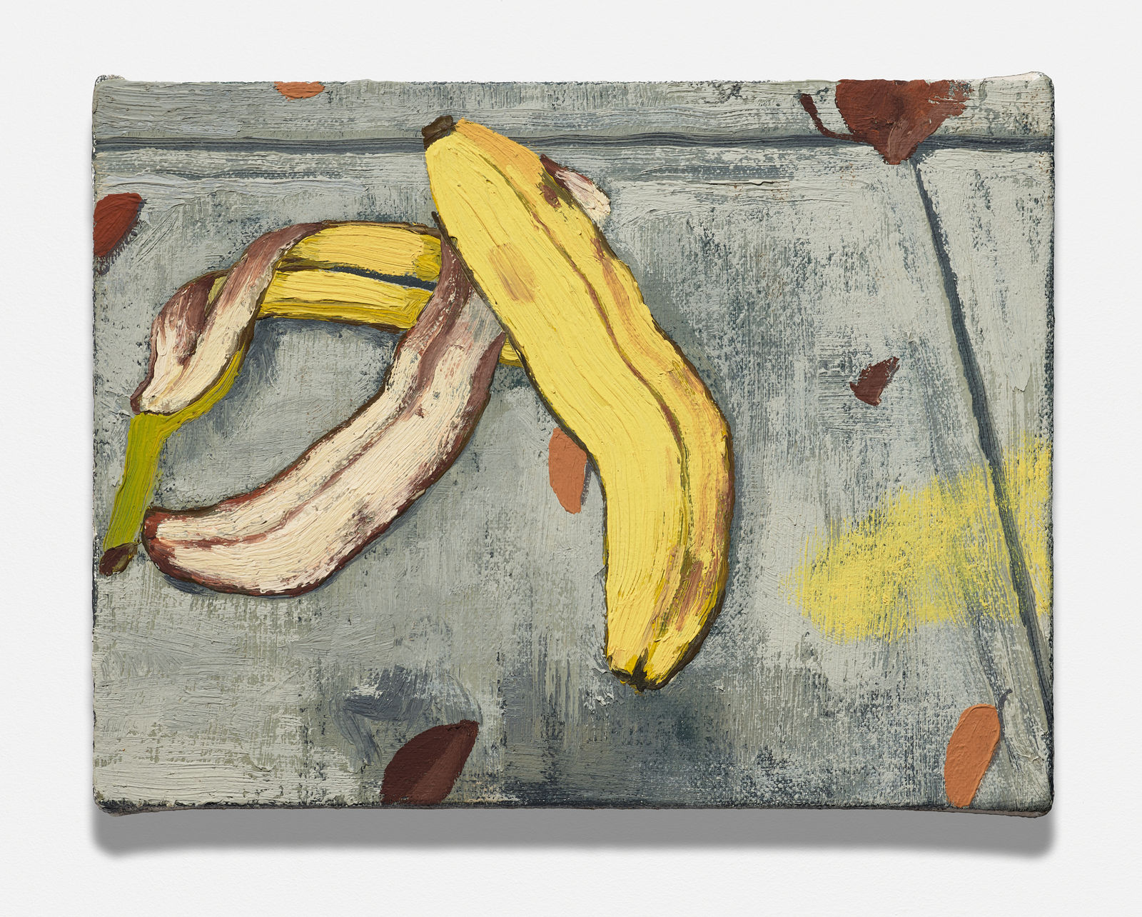 Charis Ammon, Dropping Peels and Losing Leaves, 2022