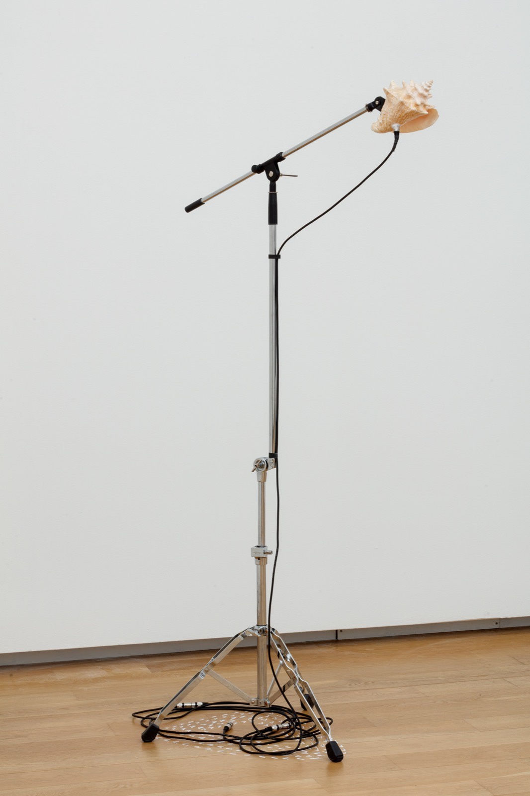 Jamal Cyrus, Port of Call, 2022