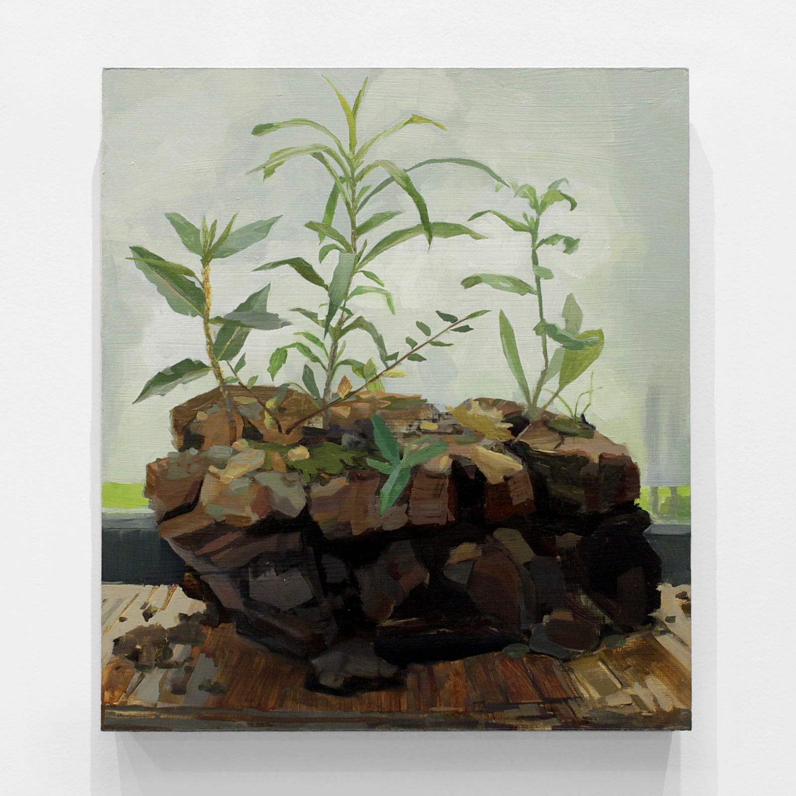 Kristin Musgnug, Milkweed, Elm, Brown-Eyed Susan from Vacant Lot, 2017