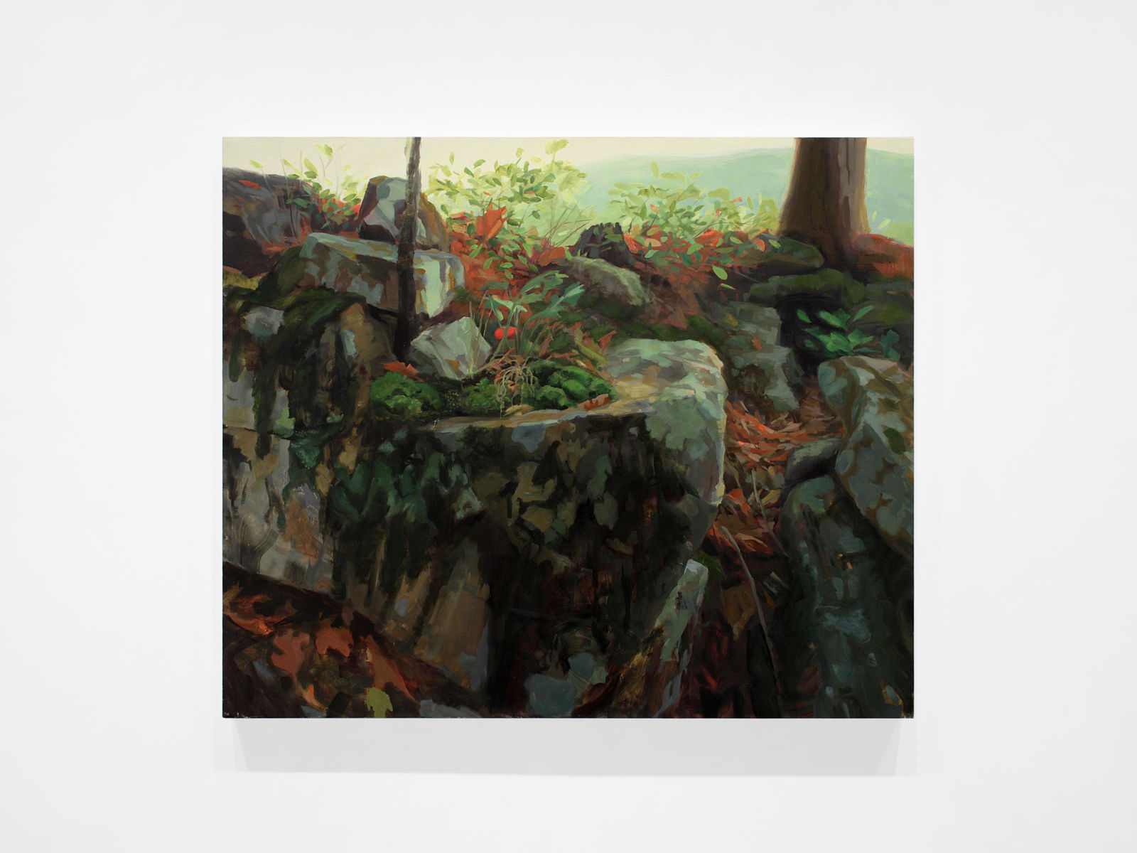 Kristin Musgnug, Devil’s Den Rocks, 2013