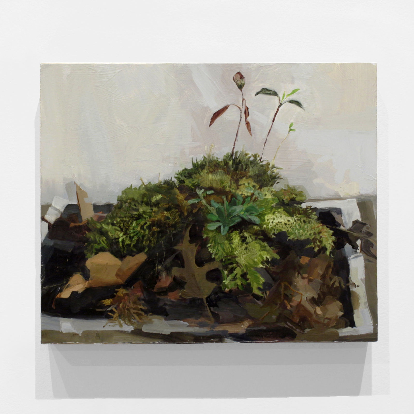 Kristin Musgnug, Moss and Seedlings from Overturned Stump, 2017