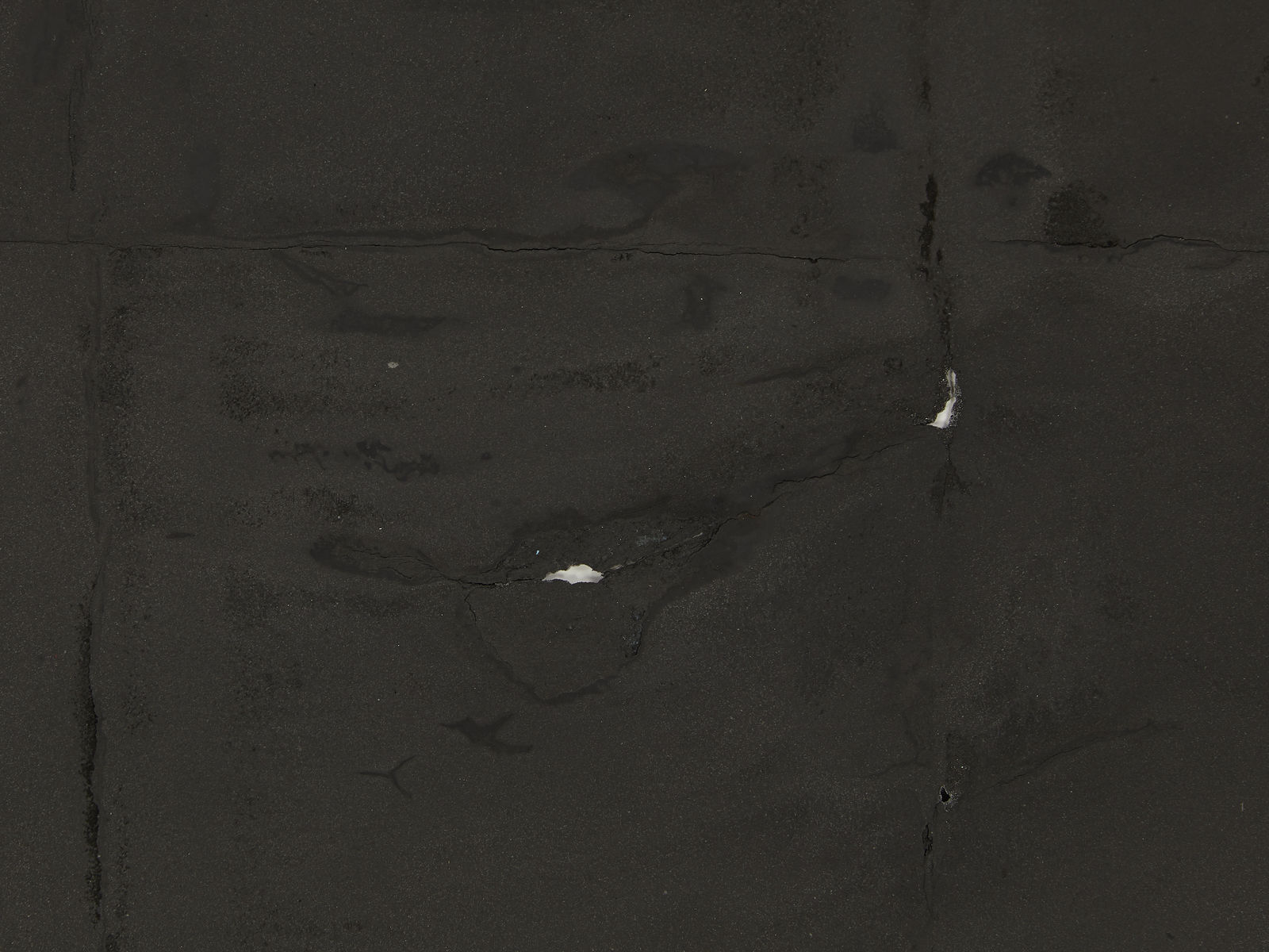 Carl Suddath, Untitled, 2021