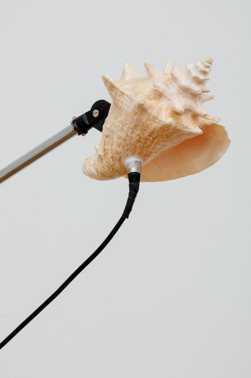 Jamal Cyrus, Port of Call, 2022