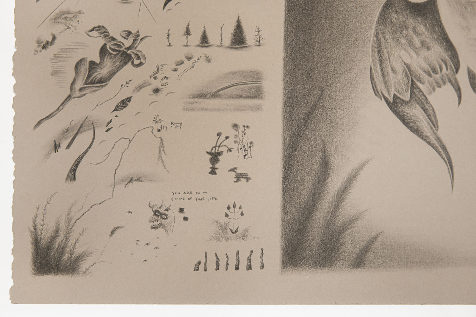 Robyn O'Neil, Prime, Rising, 2022