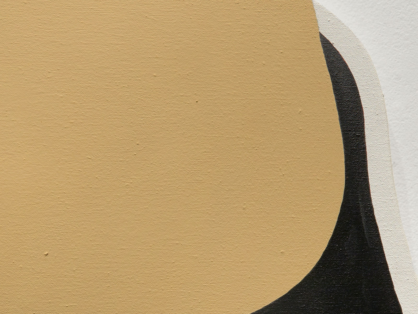 Brad Tucker, DUNE, 2020