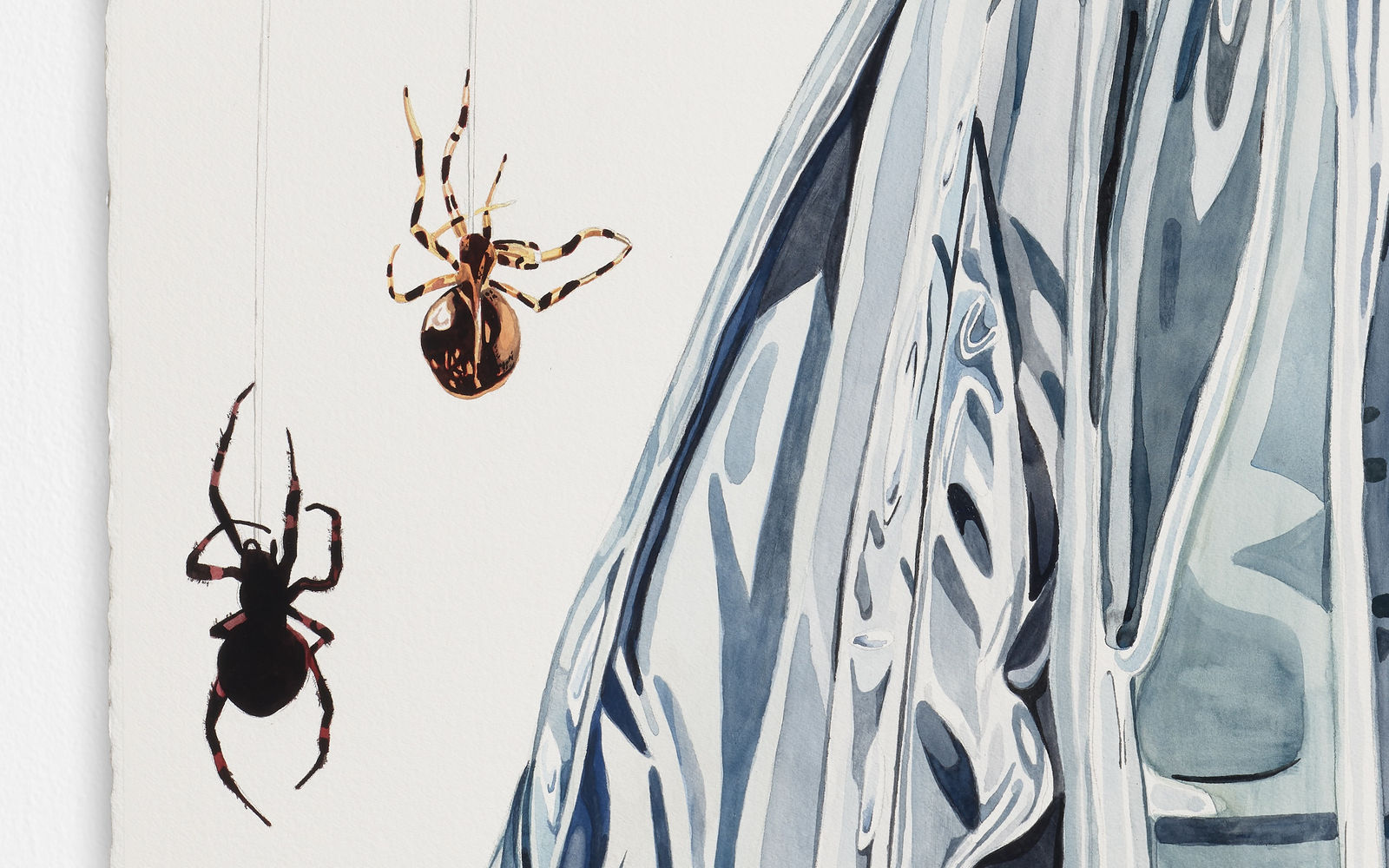 David McGee, Nutcracker, 2024