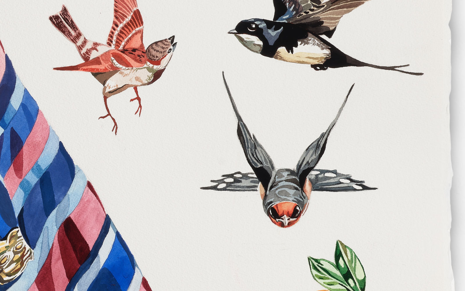 David McGee, Hesperides, 2024