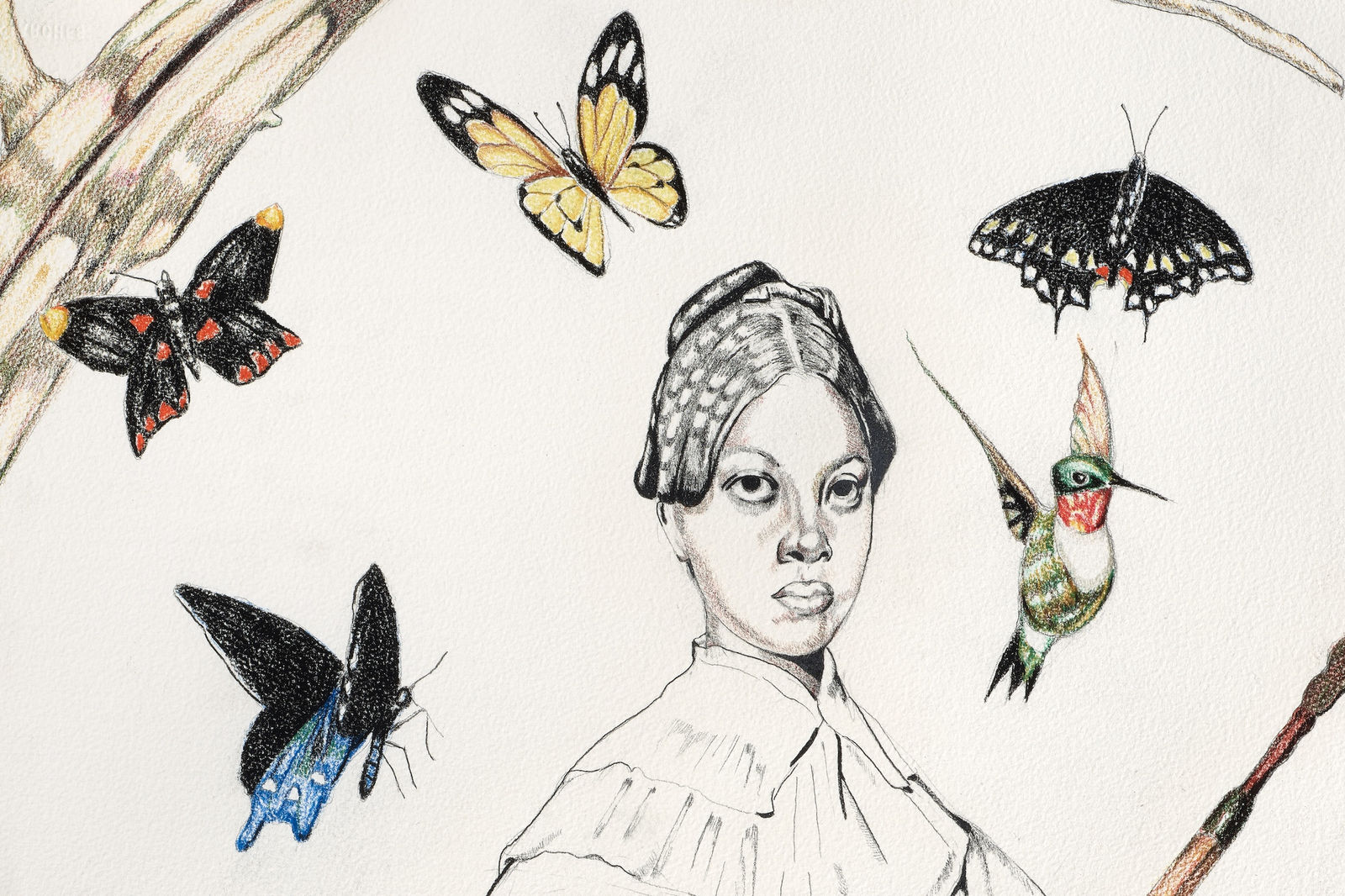 David McGee, Sibyl, 2024