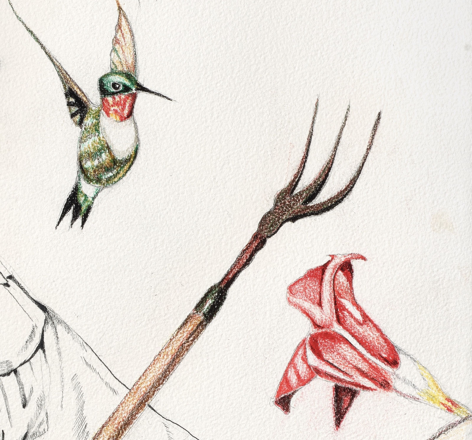 David McGee, Sibyl, 2024