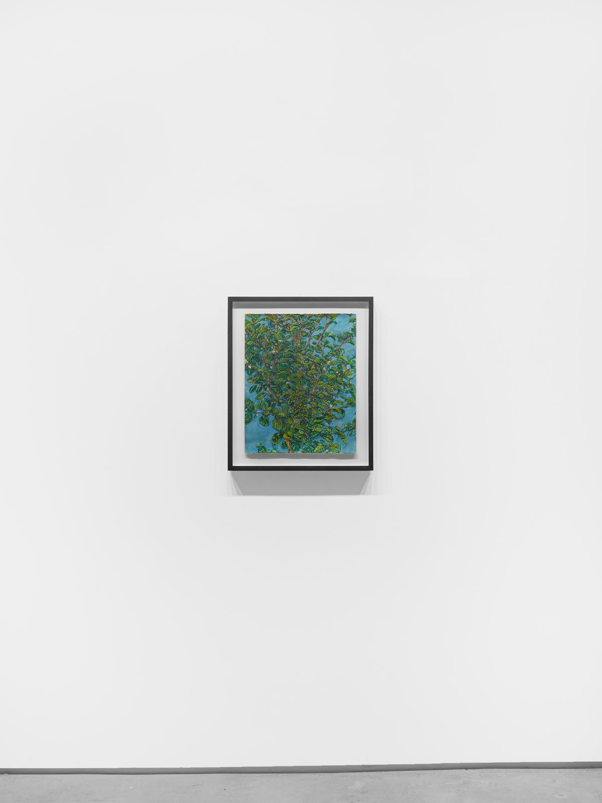 Beth Secor, Young Hawthorne Late Spring, 2013