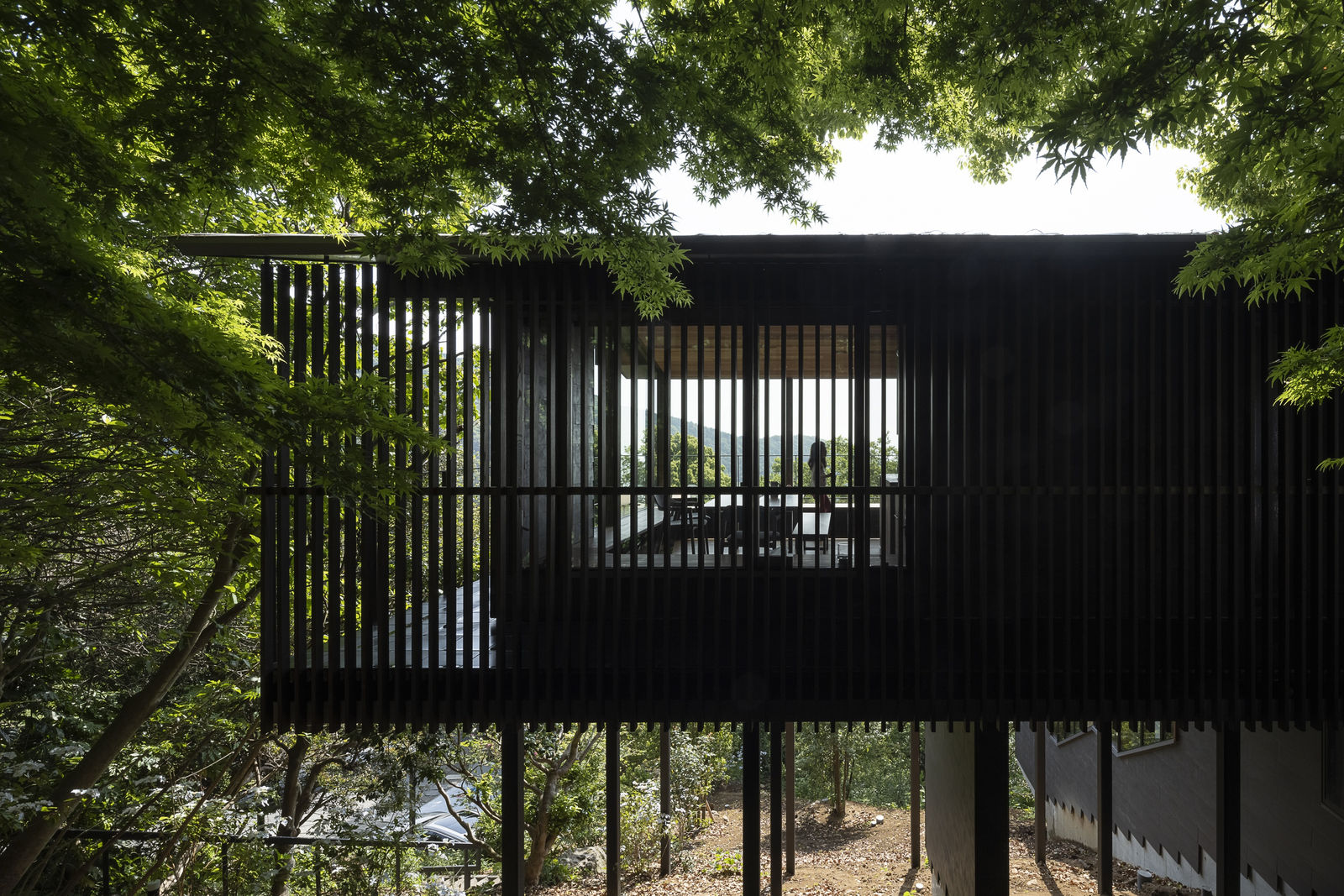 Metaphor on the Topography / Japan, acaa / Japan