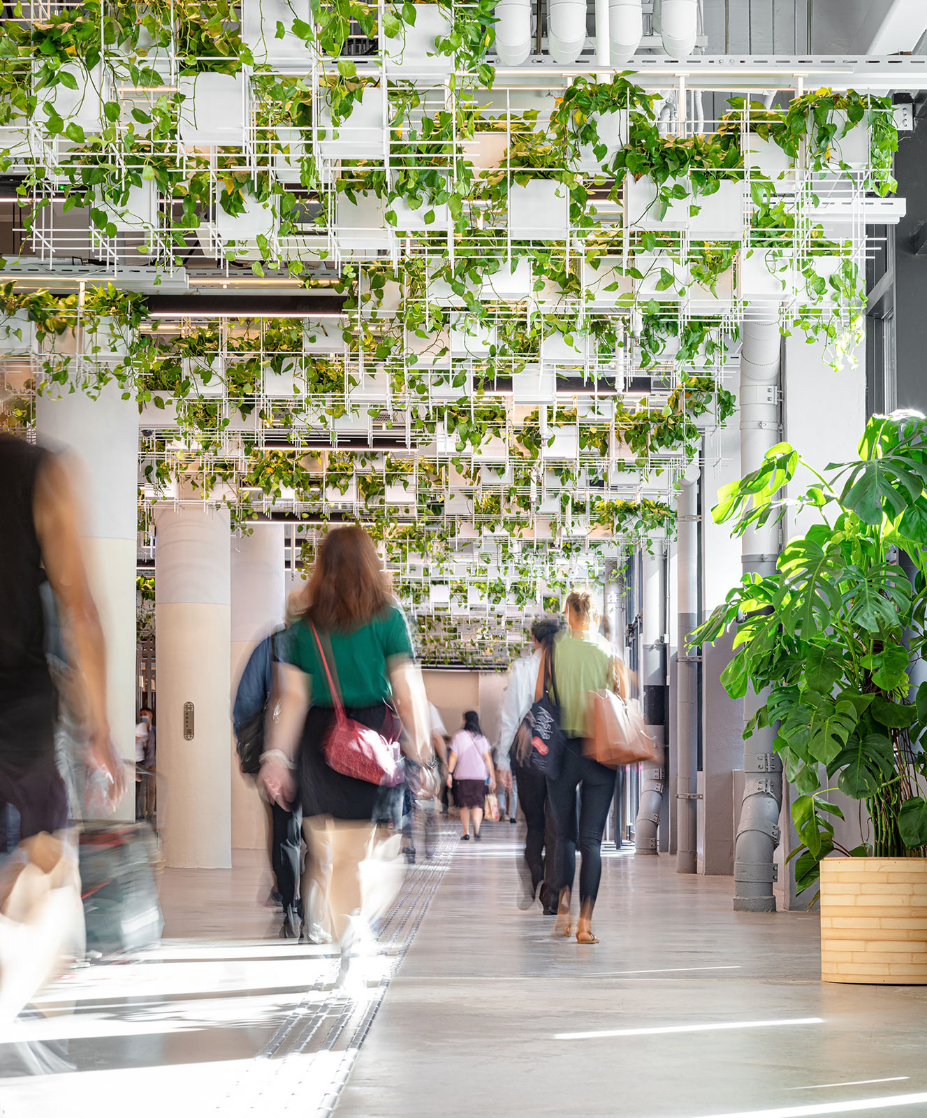 Central Market / Hong Kong, S H Λ D O W / Hong Kong