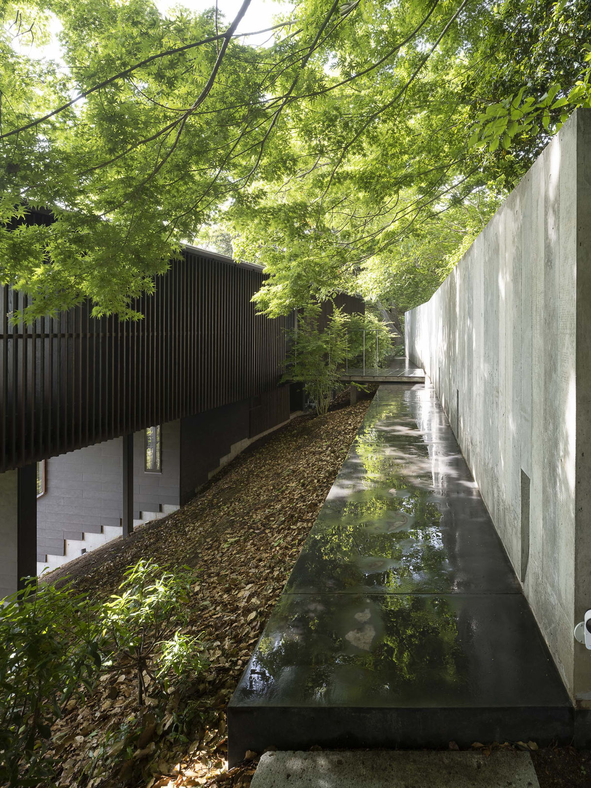 Metaphor on the Topography / Japan, acaa / Japan