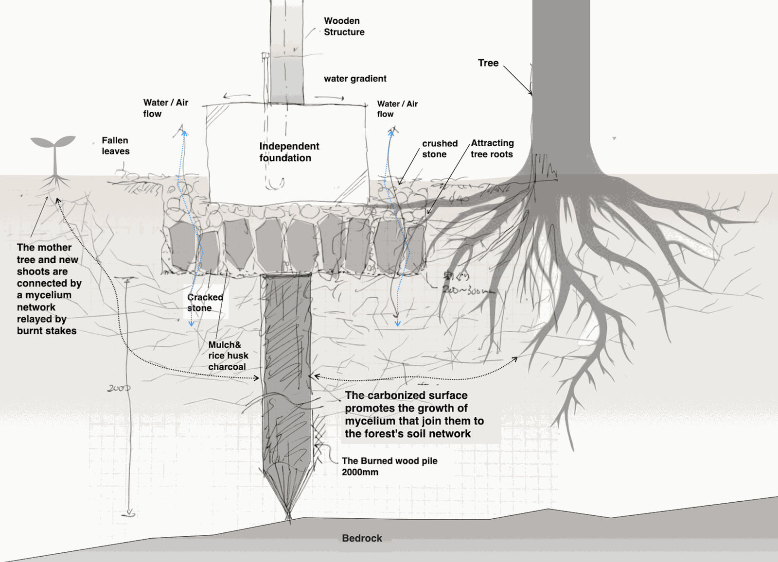 Sumu Yakushima / Japan, tono Inc. / Japan