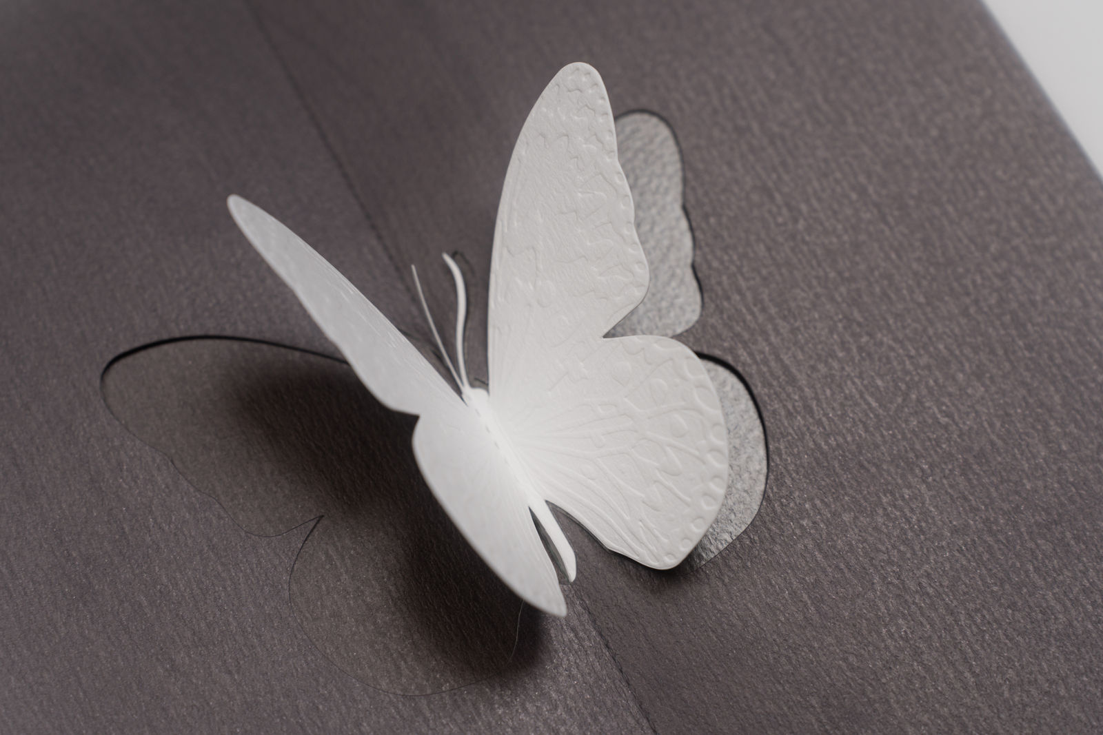 William Tsao Chih Wei / CreateSmart Young Design Talent Award 2023