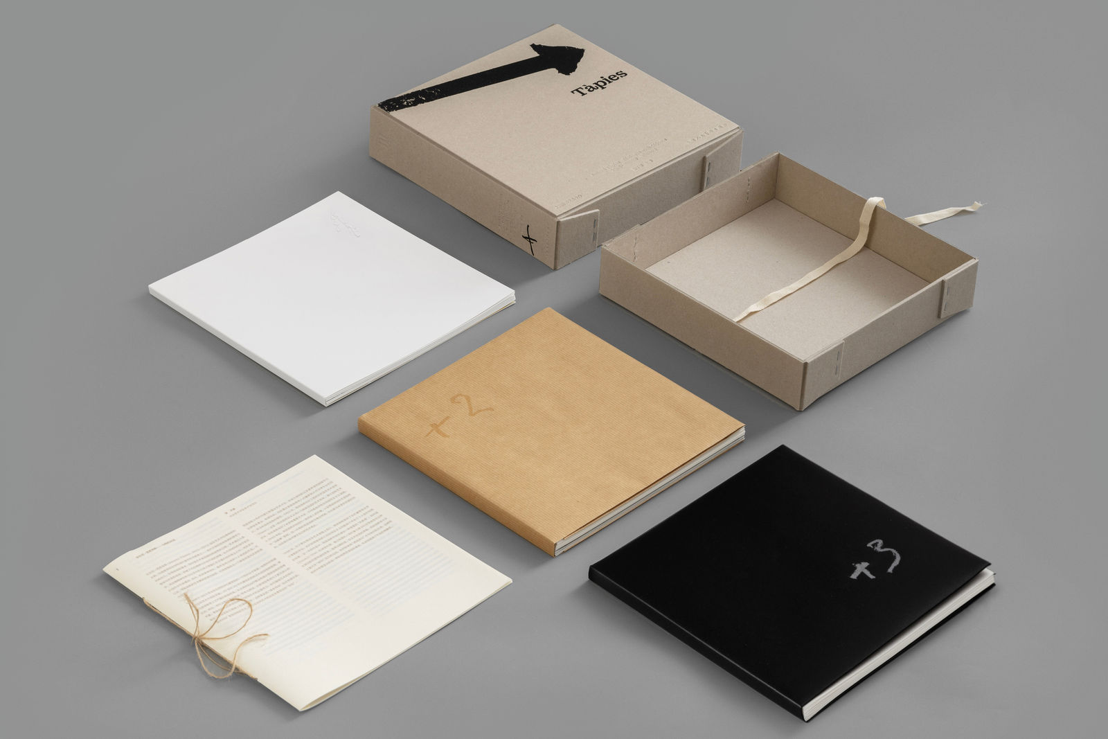 Antoni Tapies-Dialogue with Objects, Bai Fengkun / The Mainland