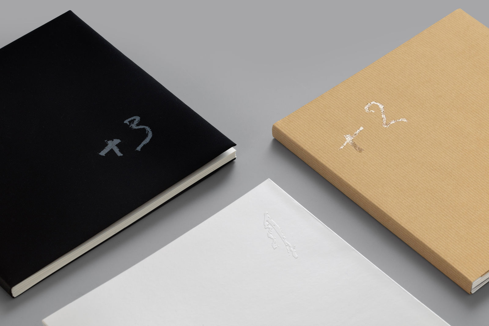 Antoni Tapies-Dialogue with Objects, Bai Fengkun / The Mainland