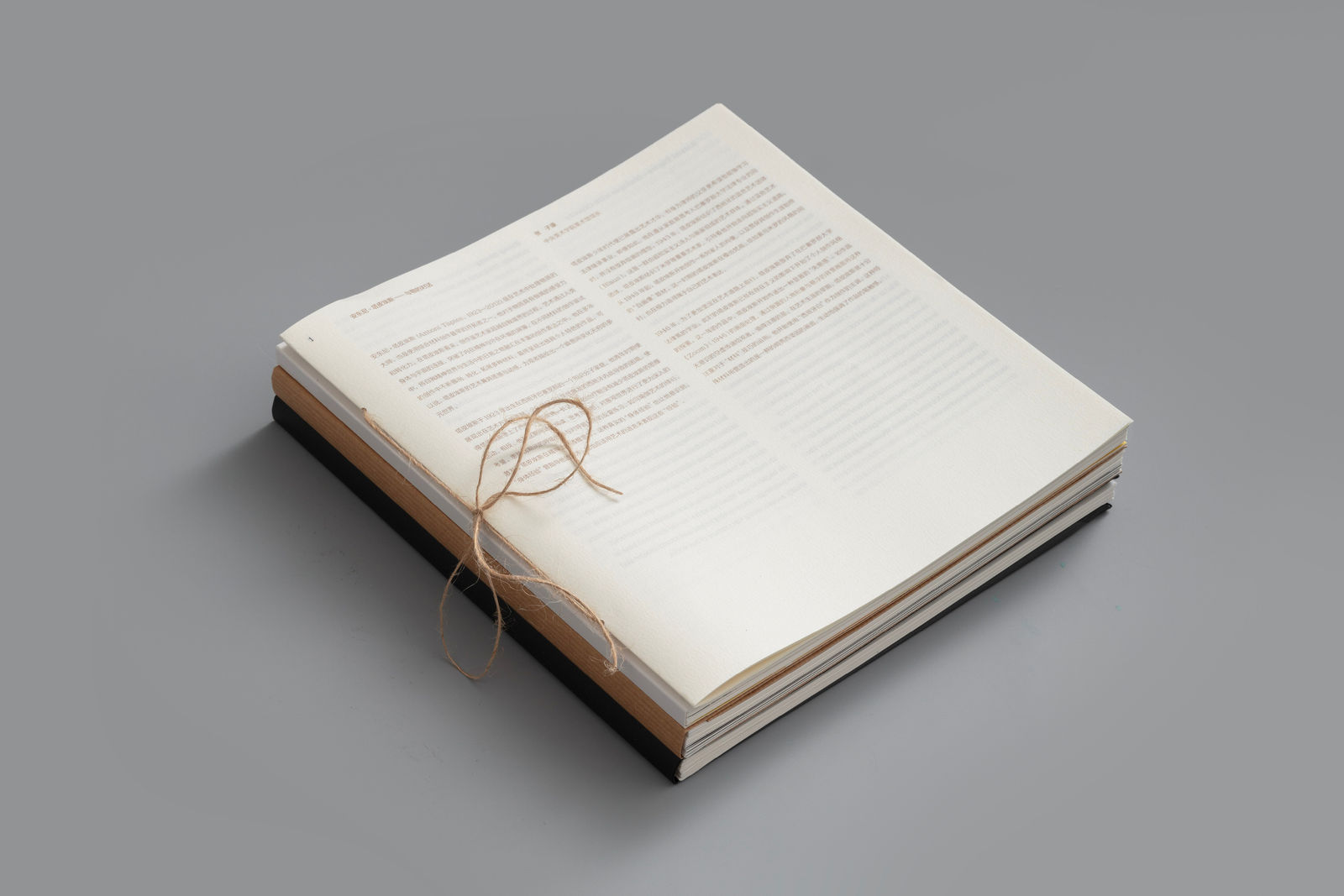 Antoni Tapies-Dialogue with Objects, Bai Fengkun / The Mainland