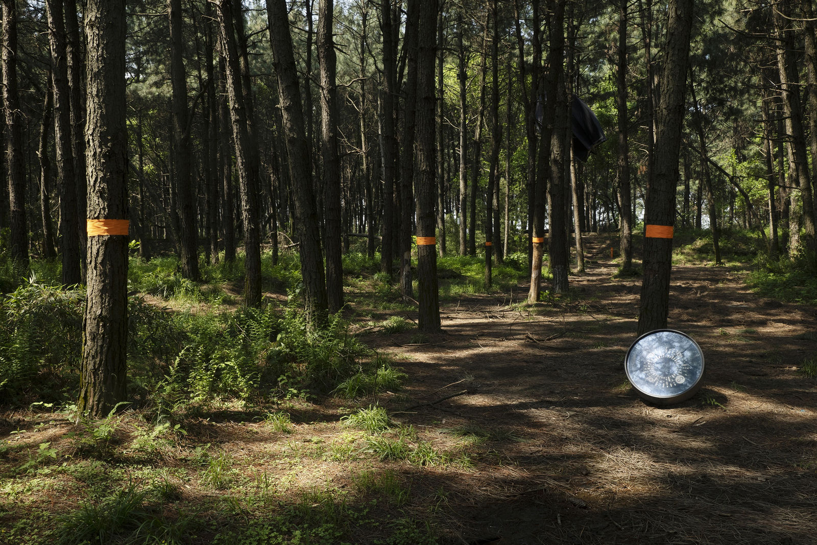 HUSHIGUANG Art Eco Site, jpgDesign / The Mainland