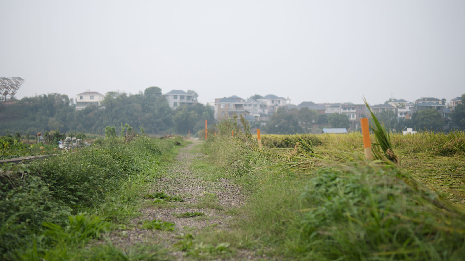 HUSHIGUANG Art Eco Site, jpgDesign / The Mainland
