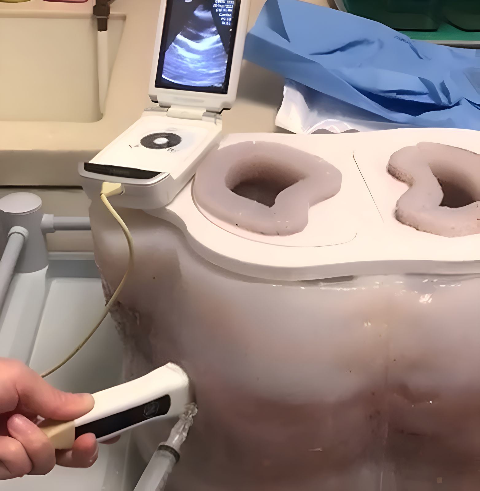 US-visible&Tactile-reality Model for Medicine, Pamela Youde Nethersole Eastern Hospital / Hong Kong