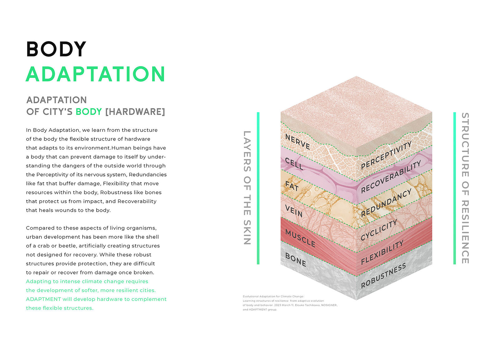ADAPTMENT, NOSIGNER / Japan