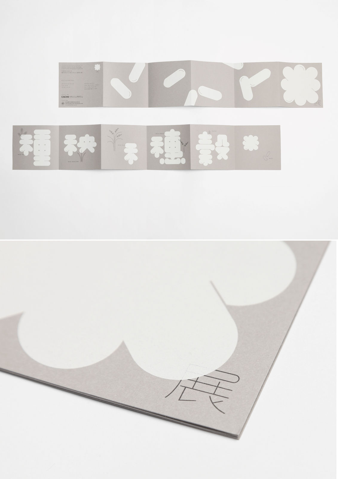 Rice Exhibition , Pengguin / Hong Kong