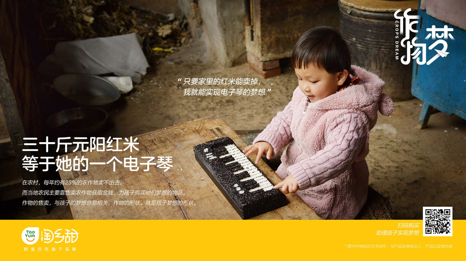 Alibaba Rural Taobao: Crop Dreams, Small Plan / Mainland China