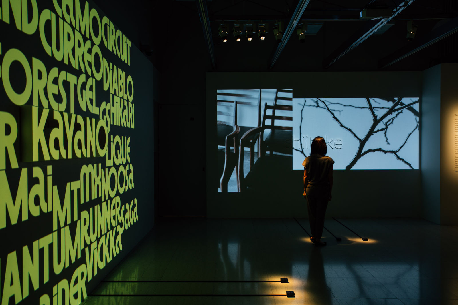 Kontrapunkt Type, Kontrapunkt / Denmark