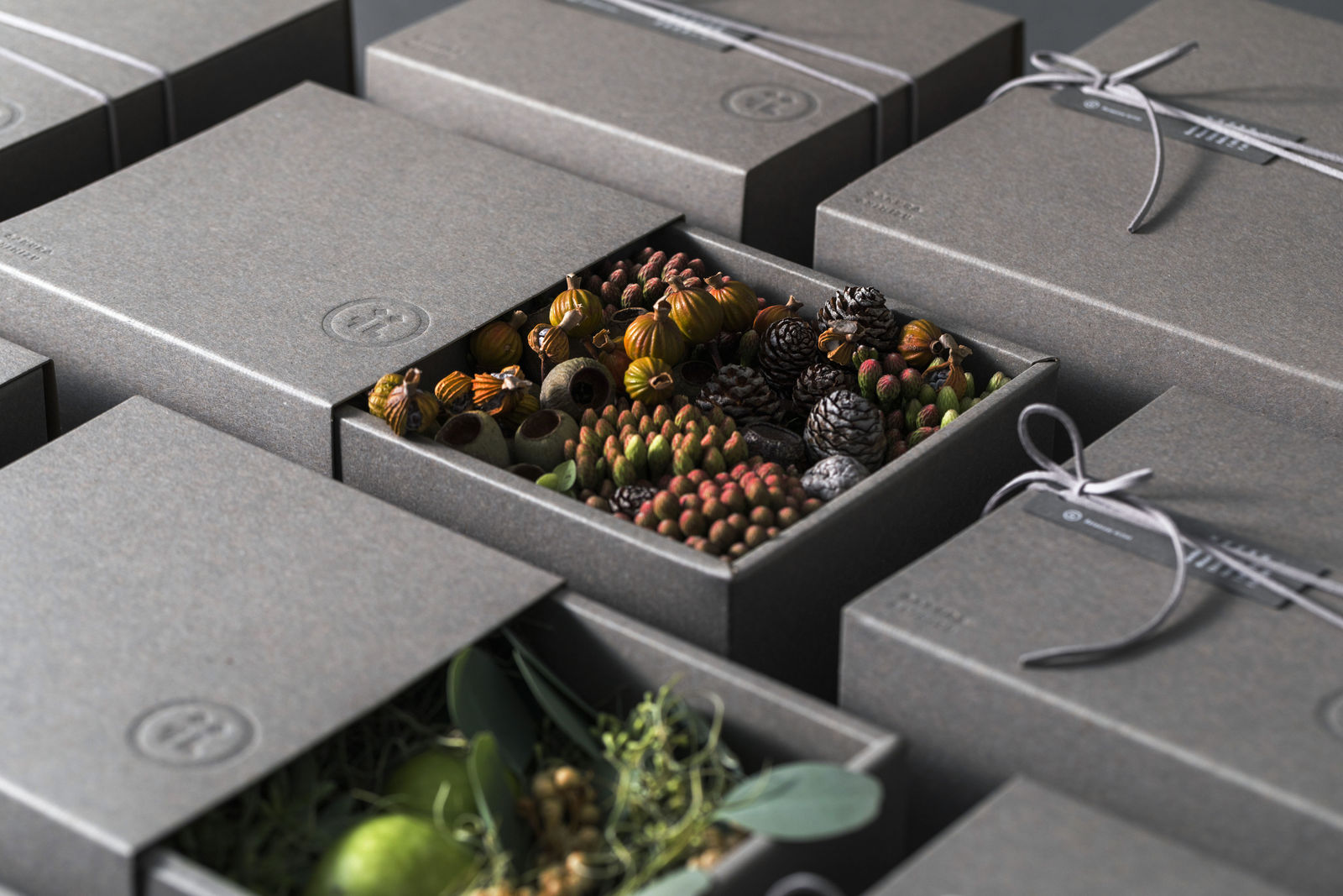 Sakura Shimizu, arica design inc. / Japan