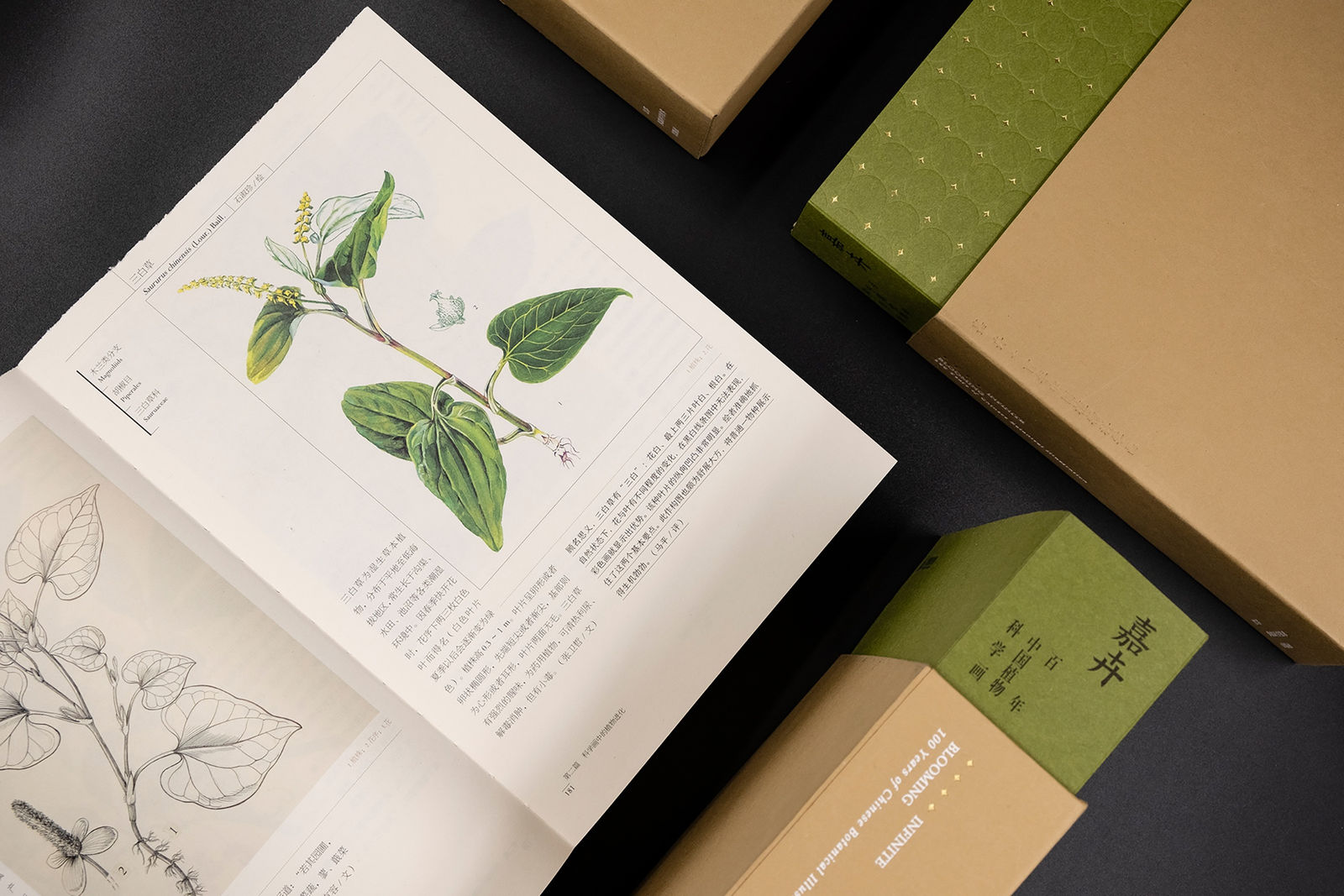 Jia Hui, Nanjing Han Qing Tang Design / Mainland China