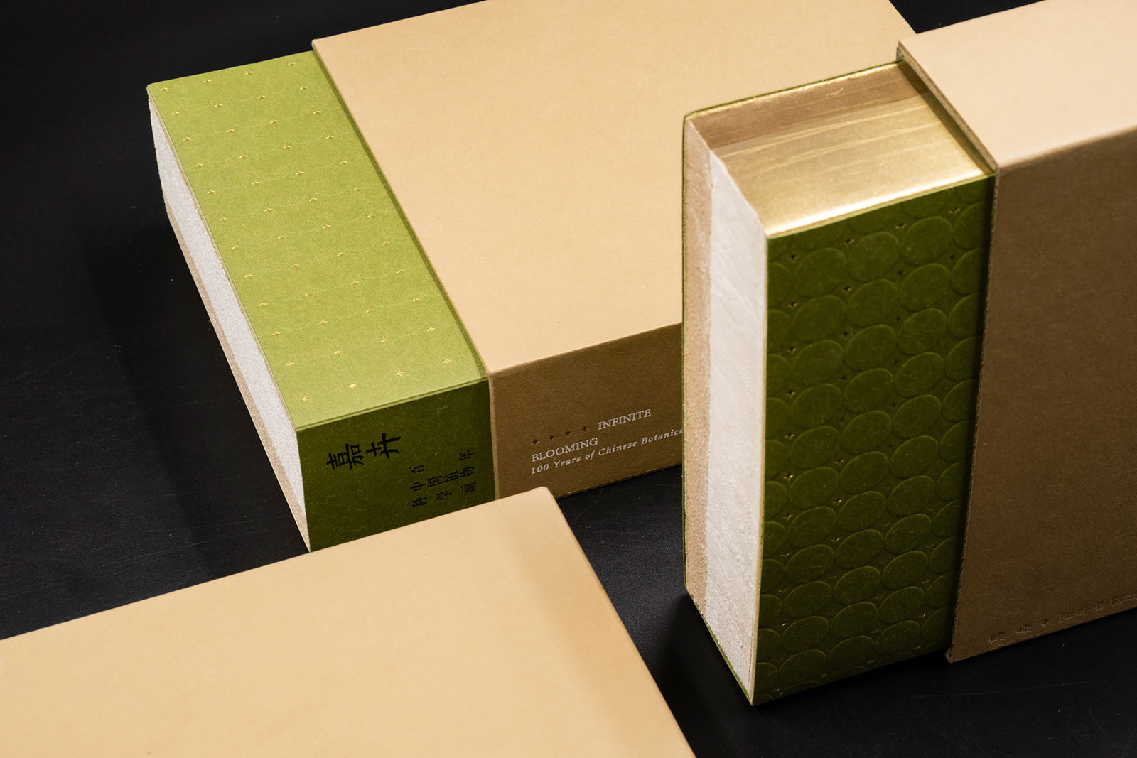 Jia Hui, Nanjing Han Qing Tang Design / Mainland China