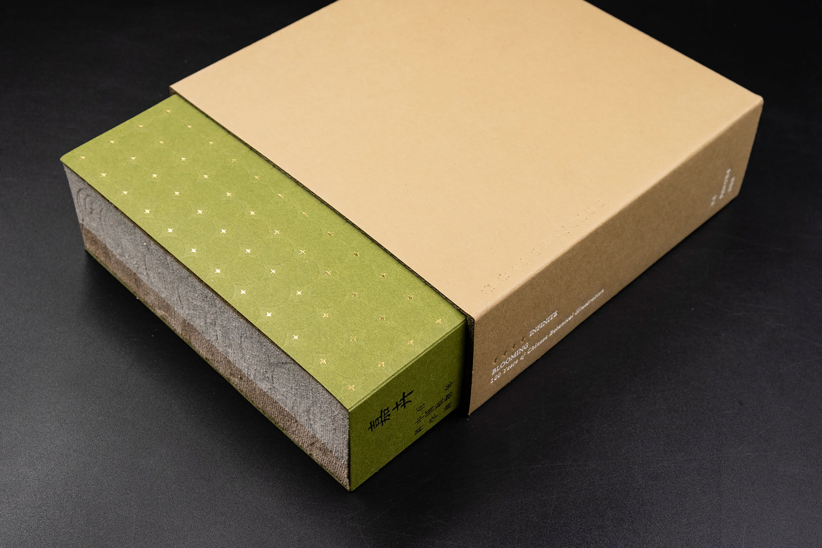 Jia Hui, Nanjing Han Qing Tang Design / Mainland China