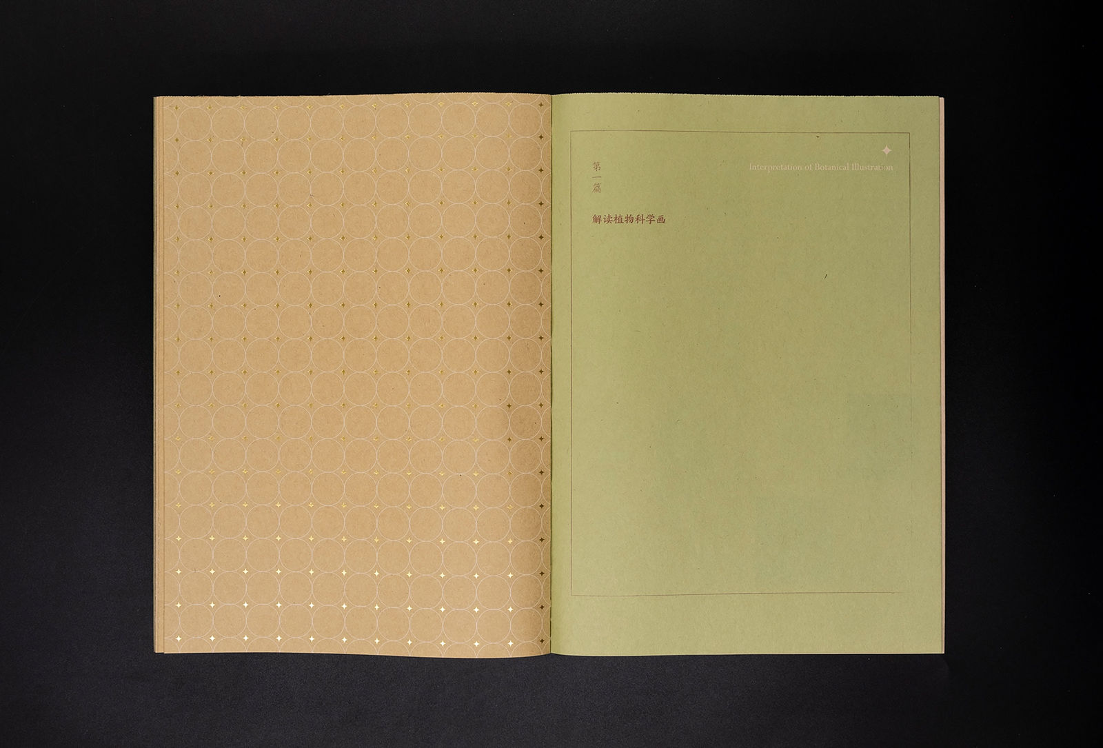 Jia Hui, Nanjing Han Qing Tang Design / Mainland China