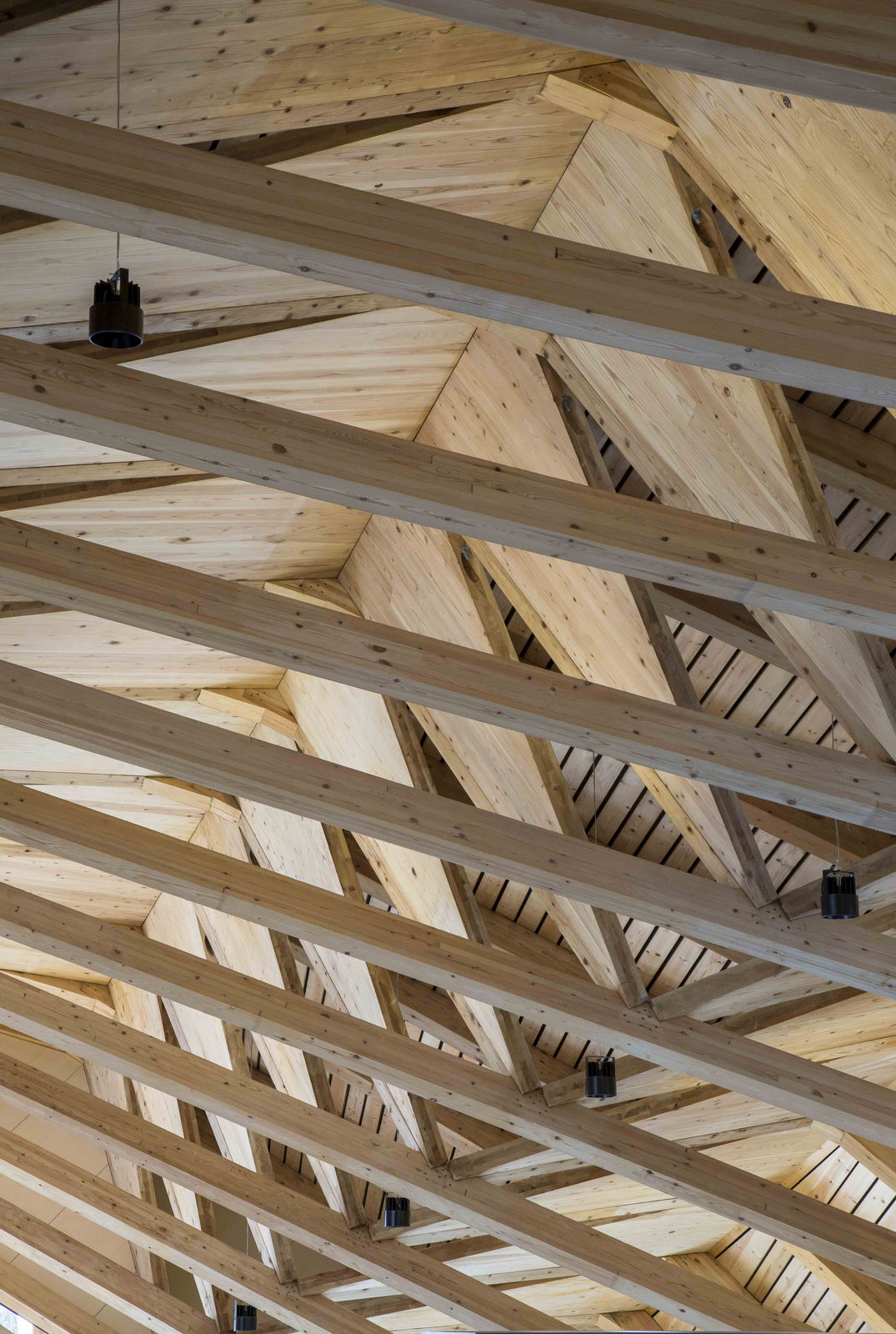 Synegic Office / Japan, UENOA / Japan