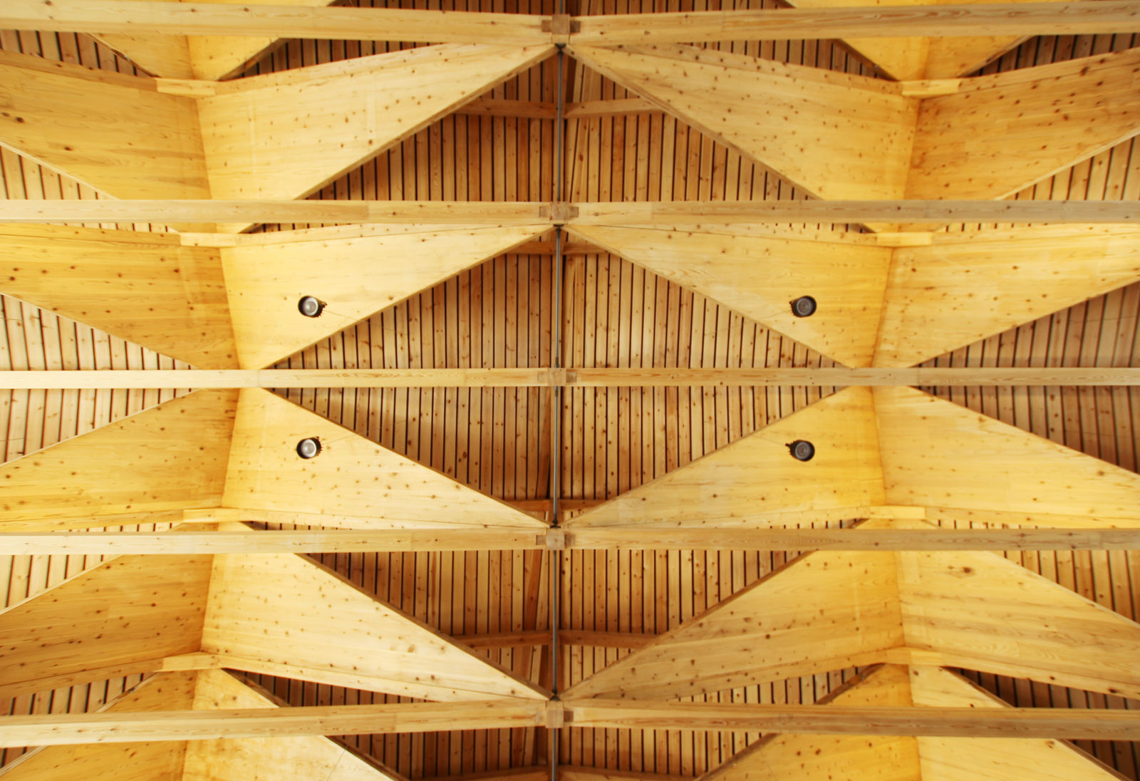 Synegic Office / Japan, UENOA / Japan