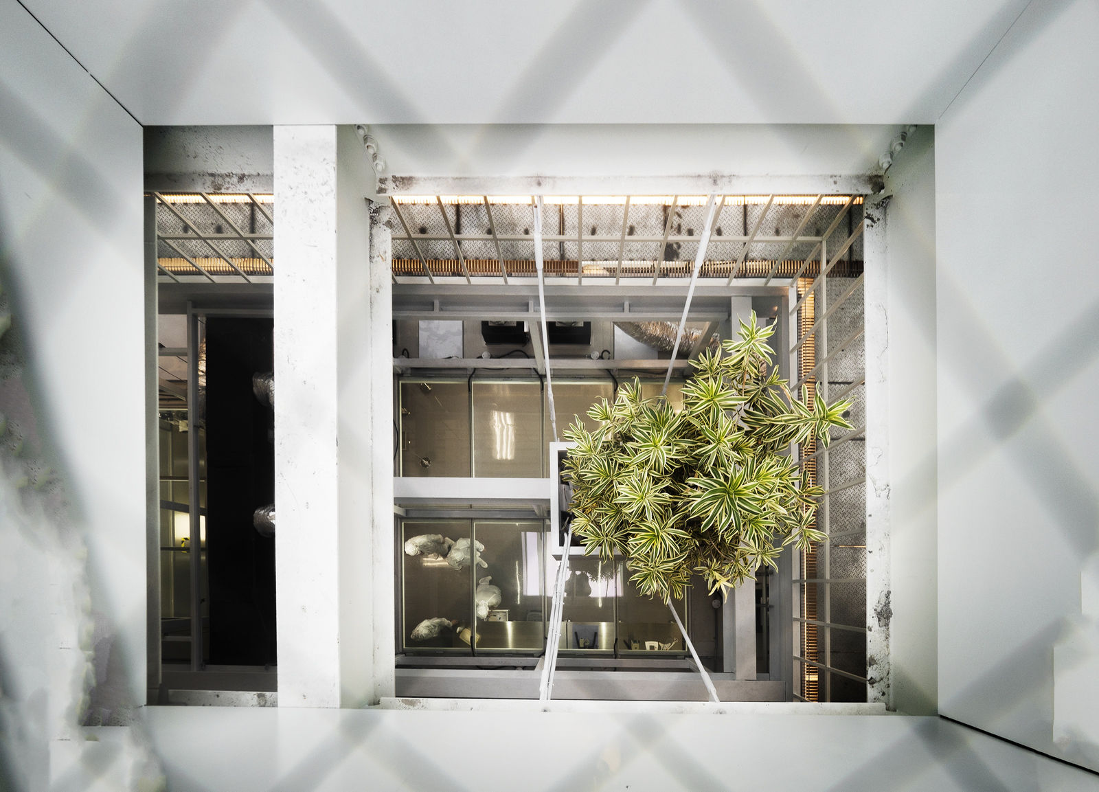 JOLAB / Taiwan, Chu Chih Kang Space Design Co., Ltd. / Taiwan