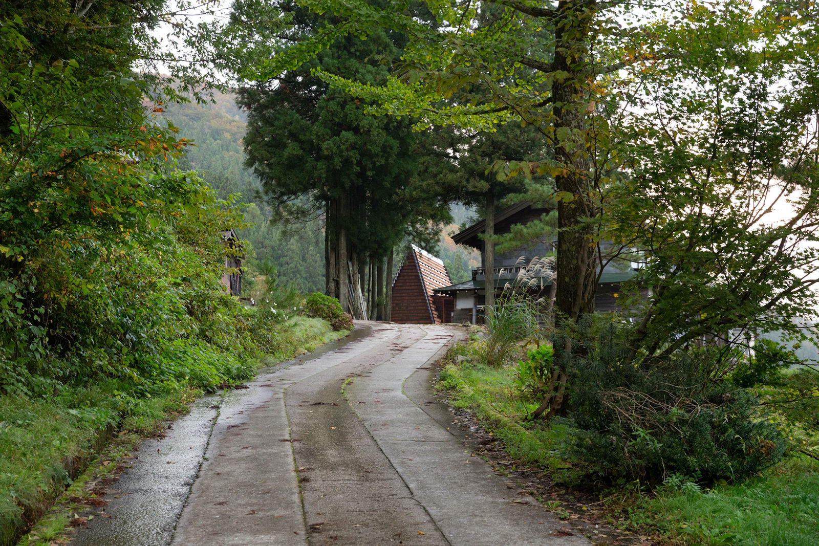 House for Marebito / Japan, VUILD, inc. / Japan