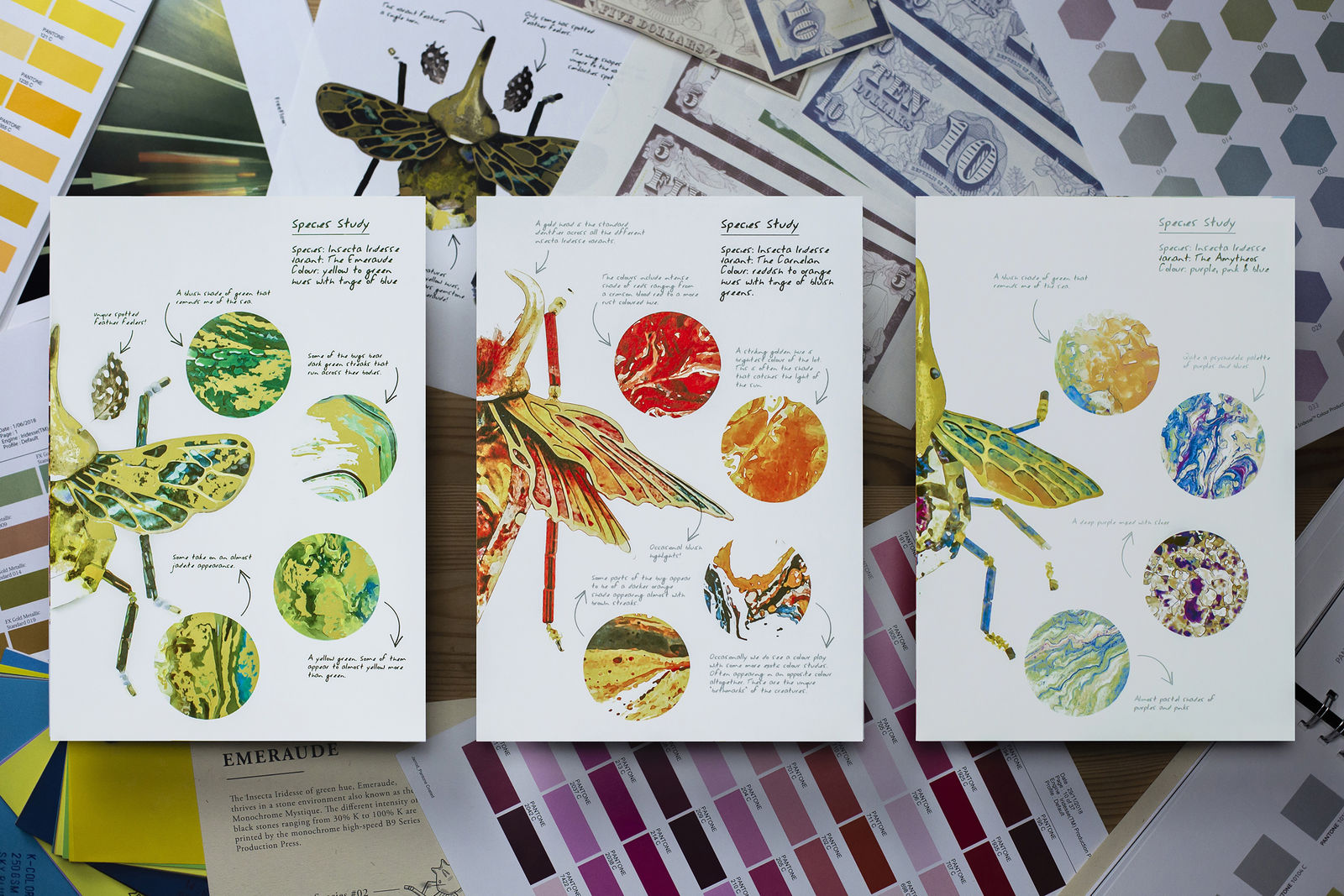 Insecta Iridesse, PLUS Collaboratives / Singapore