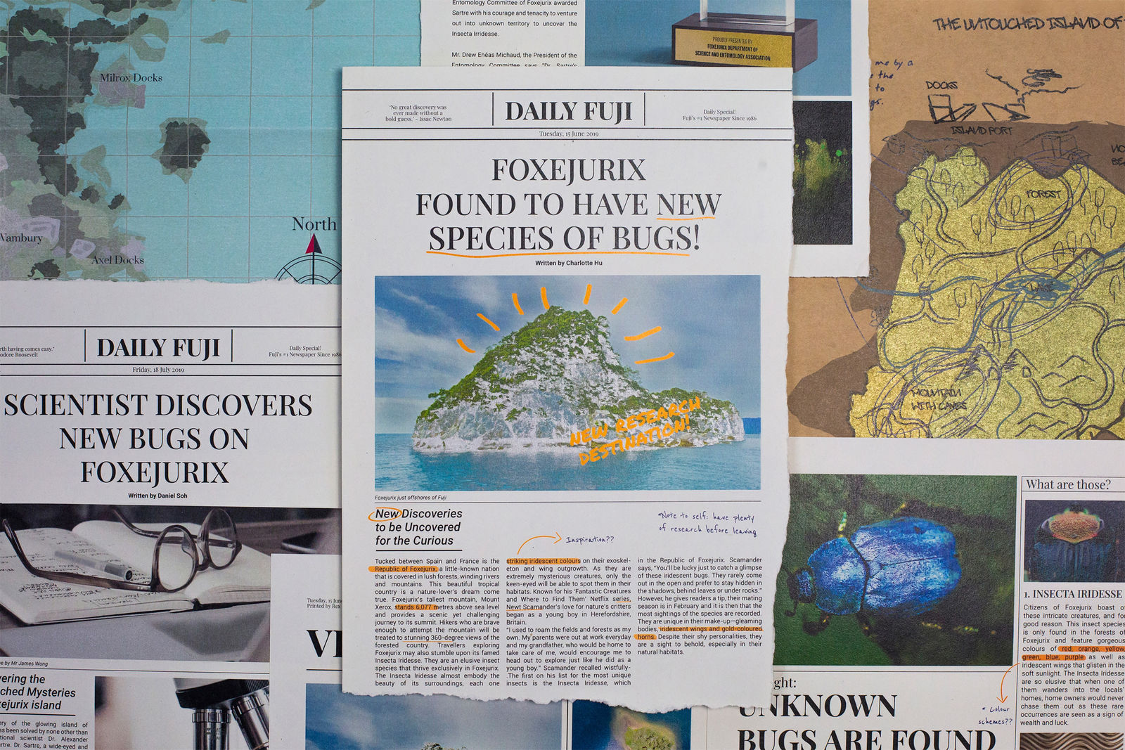 Insecta Iridesse, PLUS Collaboratives / Singapore