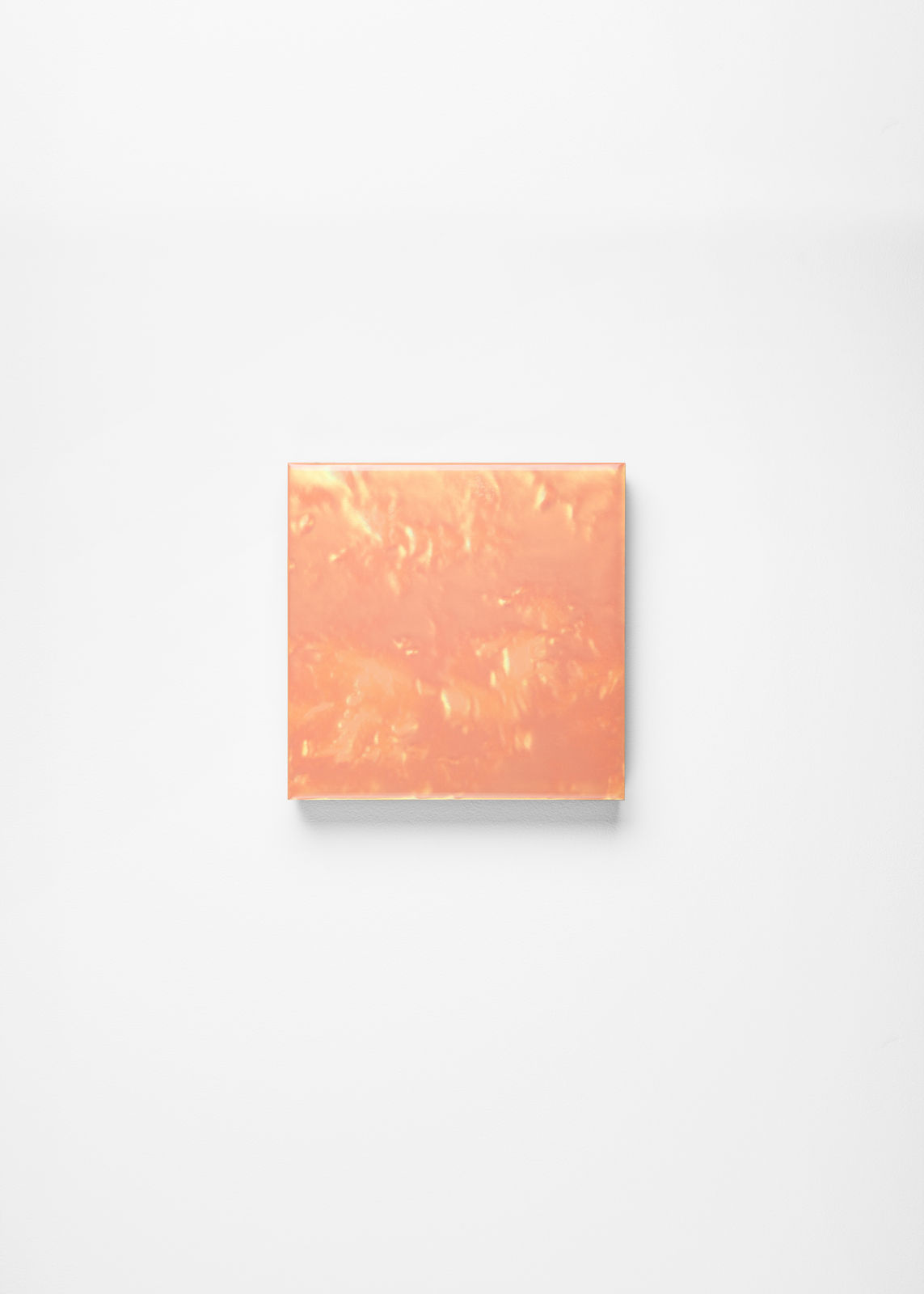 Noritaka Tatehana, Primary Colors, 2022