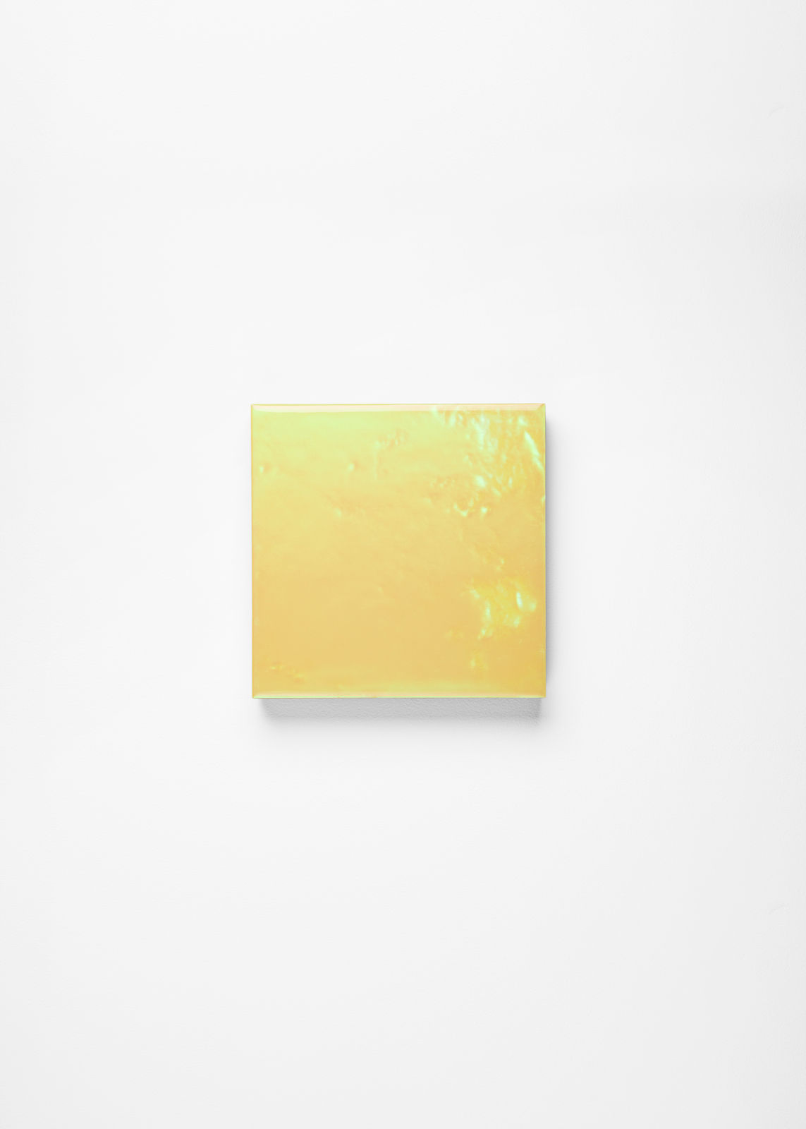 Noritaka Tatehana, Primary Colors, 2022